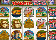 Karate Pig